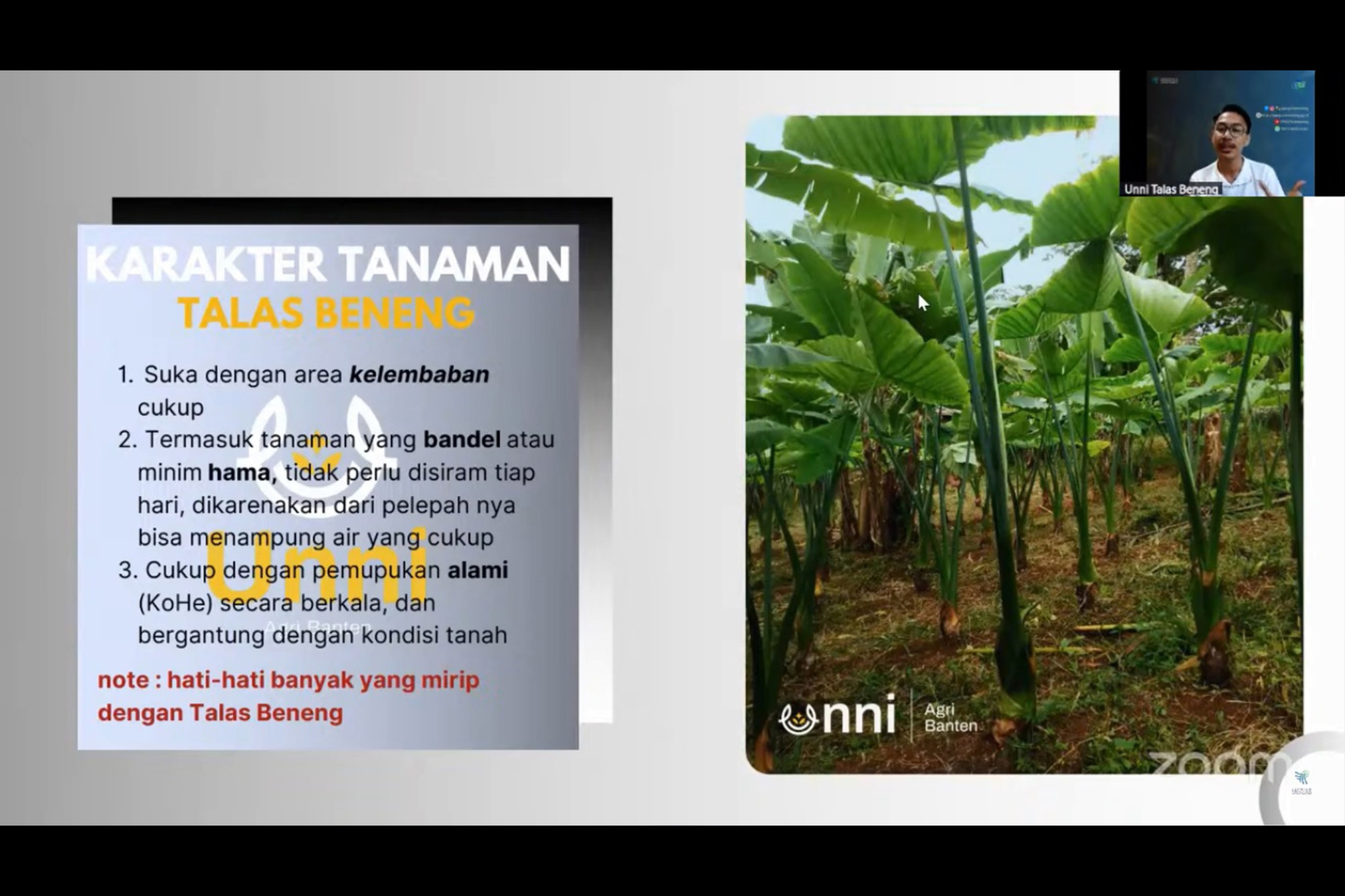 First slide
